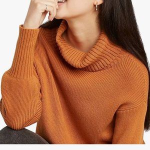 Wild Fable Cowl Neck Sweater